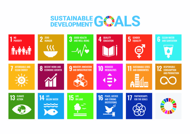 E SDG Poster 2019_without UN emblem_PRINT.jpeg